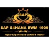 SAP S4 HANA EWM 1809 VIDEOS COURSE